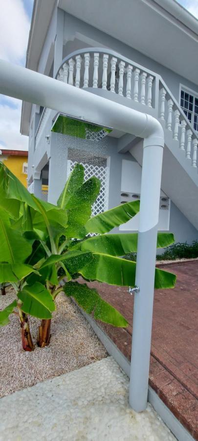 Villa Ravens'S Paradise Azul Willemstad Kültér fotó
